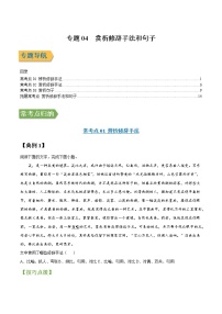 专题04 赏析修辞手法和句子-2022年高三毕业班语文常考点归纳与变式演练（新高考版）