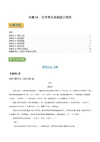 专题16 文学类文本阅读之探究-2022年高三毕业班语文常考点归纳与变式演练（新高考版）