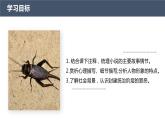 部编版高中语文必修下册第六单元《促织》PPT课件
