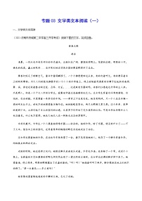 专题03 文学类文本阅读（一）-2022届高三语文上学期《新题速递》系列