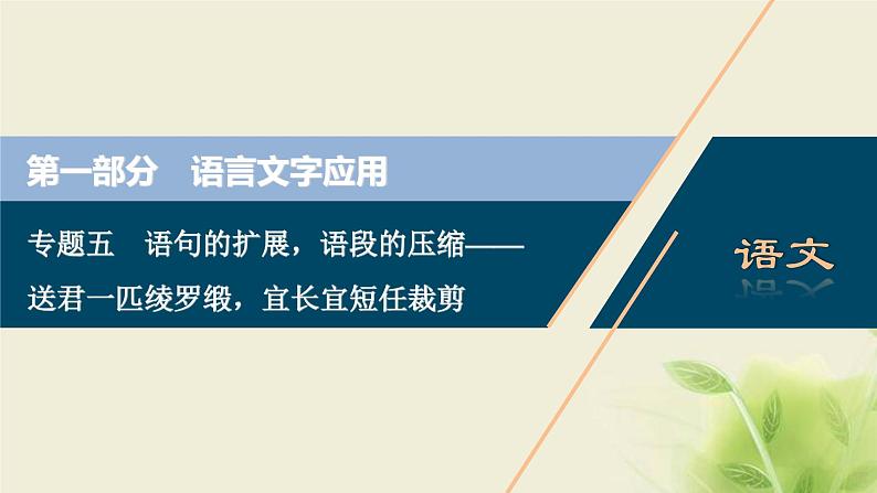 浙江专用高考语文二轮复习专题五语句的扩展语段的压缩__送君一匹绫罗缎宜长宜短任裁剪课件01