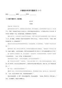 2022年高考小说综合考查专题练习（一）-2022年高考小说文本高频考点精讲精练