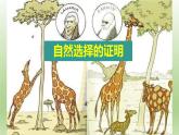 13.1《自然选择的证明》课件24张2021-2022学年统编版高中语文选择性必修下册