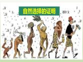 13.1《自然选择的证明》课件23张2021-2022学年统编版高中语文选择性必修下册