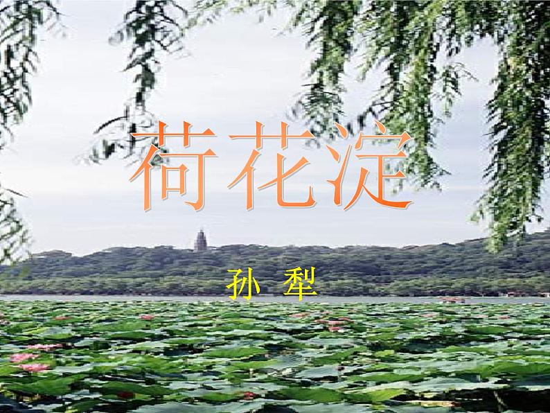 8.1《荷花淀》课件22张2021-2022学年统编版高中语文选择性必修中册第1页