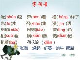 8.1《荷花淀》课件22张2021-2022学年统编版高中语文选择性必修中册
