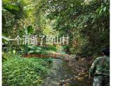 7.1《一个消逝了的山村》课件23张2021-2022学年高中语文统编版选择性必修下册