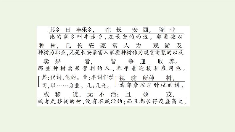 新人教版高中语文选择性必修下册第3单元进阶1第11课种树郭橐驼传课件第6页