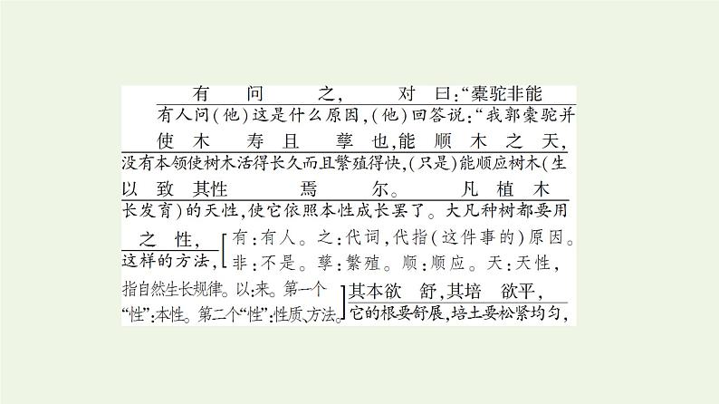 新人教版高中语文选择性必修下册第3单元进阶1第11课种树郭橐驼传课件第8页