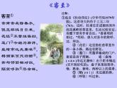 《客至》课件31张2021—2022学年统编版高中语文选择性必修下册 (1)