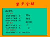 《客至》课件31张2021—2022学年统编版高中语文选择性必修下册 (1)
