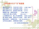 古诗词诵读《春江花月夜》课件27张2021—2022学年统编版高中语文选择性必修上册