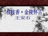 古诗词诵读《桂枝香·金陵怀古》课件25张2021-2022学年统编版高中语文必修下册