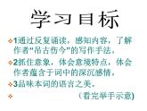 古诗词诵读《桂枝香·金陵怀古》课件25张2021-2022学年统编版高中语文必修下册
