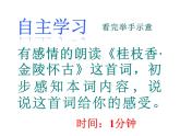 古诗词诵读《桂枝香·金陵怀古》课件25张2021-2022学年统编版高中语文必修下册