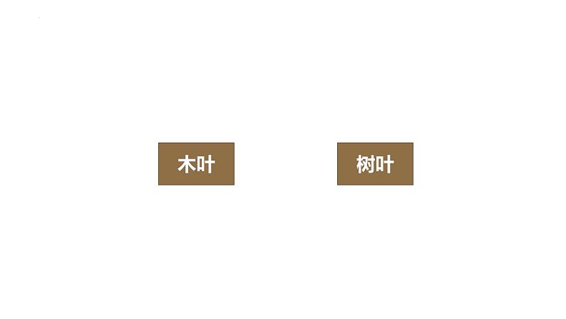 9.《说“木叶”》课件22张2021-2022学年统编版高中语文必修下册06