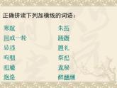 人教统编版高中语文必修下册优质课件---12 祝福1 (1)