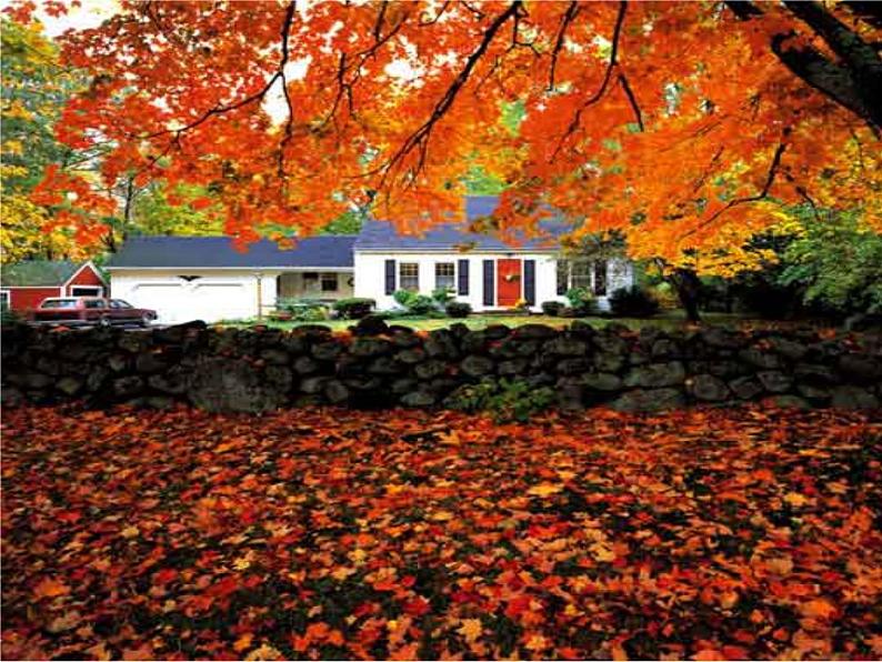 14.1《故都的秋》课件18张2021-2022学年统编版高中语文必修上册01