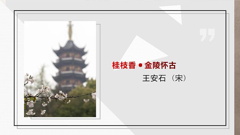 部编版高中语文必修下册《桂枝香·金陵怀古》PPT课件01