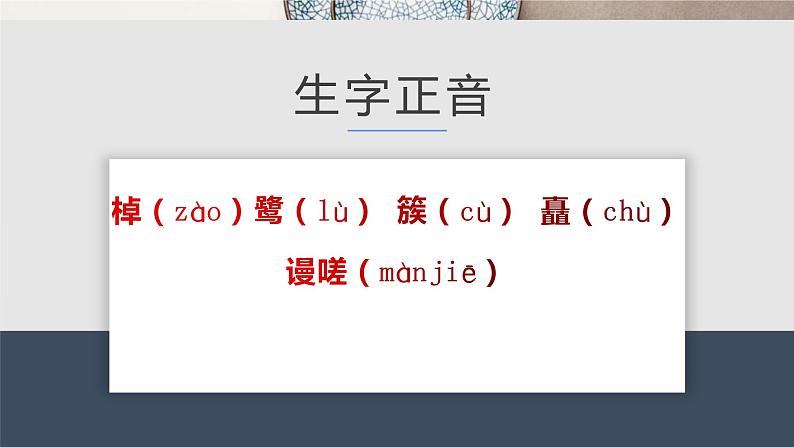 部编版高中语文必修下册《桂枝香·金陵怀古》PPT课件05
