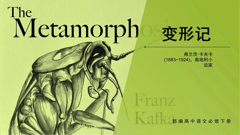 14.2《变形记》课件56张2021-2022学年统编版高中语文必修下册01