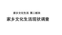 高中语文人教统编版必修 上册二 家乡文化生活现状调查评课ppt课件