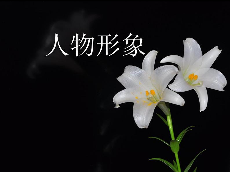 3.《百合花》课件25张2021—2022学年统编版高中语文必修上册第4页