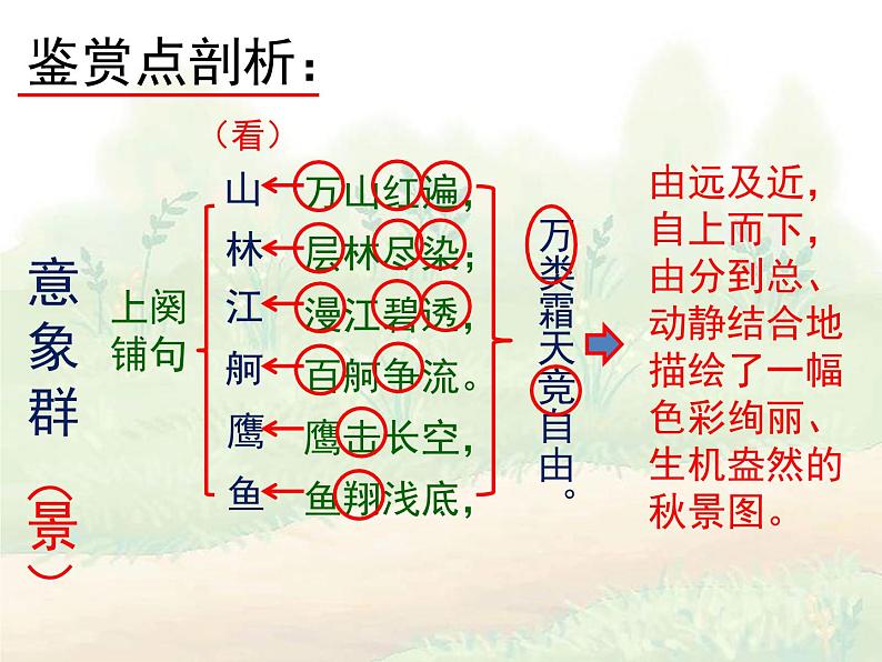 人教统编版语文 必修 上册《沁园春·长沙》优秀课件第7页