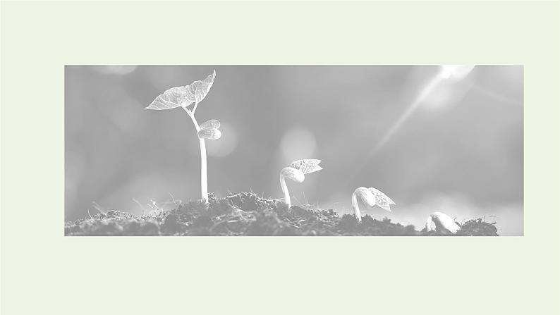 2021_2022学年新教材高中语文第三单元第7课短歌行归园田居其一课件部编版必修上册第6页