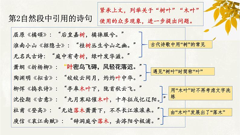 《说“木叶”》课件2021-2022学年统编版高中语文必修下册 (9)07