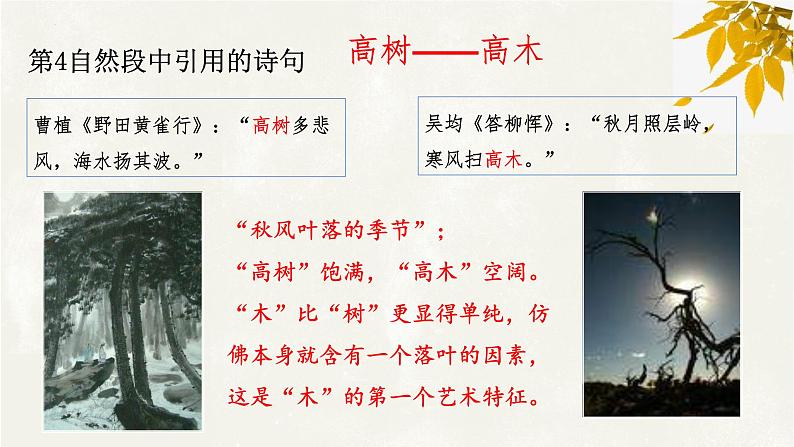 《说“木叶”》课件2021-2022学年统编版高中语文必修下册 (9)08