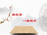 人教版高中语文选修--中国现代诗歌散文欣赏《贺新郎》课件2