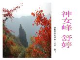 人教版高中语文选修--中国现代诗歌散文欣赏《神女峰》课件1