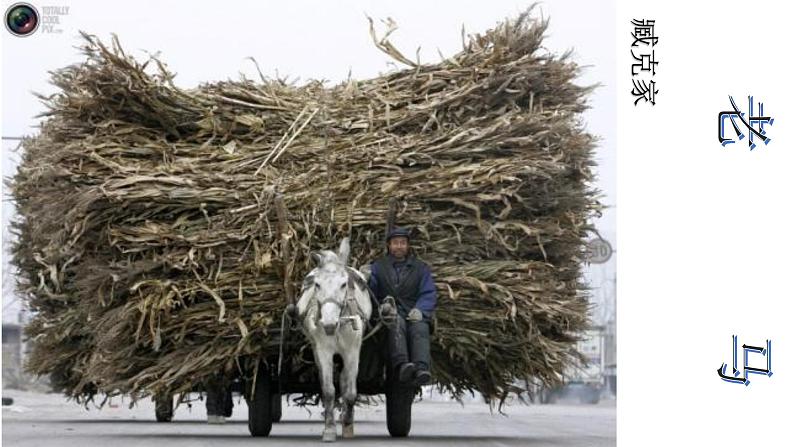 人教版高中语文选修--中国现代诗歌散文欣赏《老马》课件2第2页