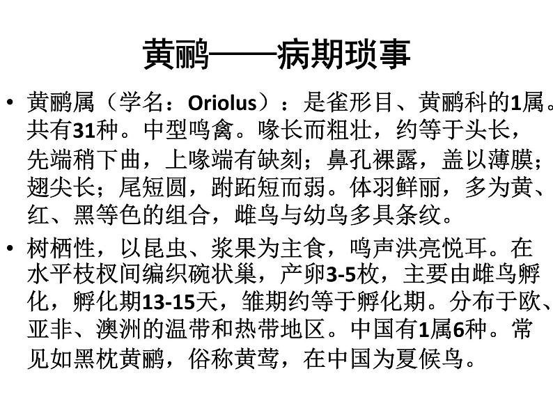 人教版高中语文选修--中国现代诗歌散文欣赏《黄鹂——病期琐事》课件1第3页