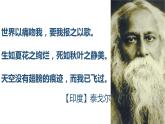 人教版高中语文选修--中国现代诗歌散文欣赏《雪落在中国的土地上》课件