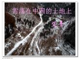 人教版高中语文选修--中国现代诗歌散文欣赏《雪落在中国的土地上》课件2