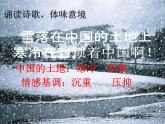 人教版高中语文选修--中国现代诗歌散文欣赏《雪落在中国的土地上》课件2