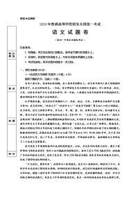 2020回族自治区银川一中高三下学期第五次模拟考试语文试题含答案