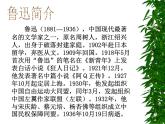 人教版高中语文选修--中外传记作品选读《第二课　鲁迅：深刻与伟大的另一面是平和》课件2