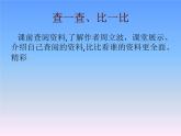 人教版高中语文选修--中国民俗文化《山那面的人家（周立波）》课件1