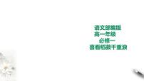 2020-2021学年4.1 喜看稻菽千重浪――记首届国家最高科技奖获得者袁隆平课文课件ppt