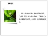 13.1 《自然选择的证明》（课件）