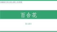 人教统编版必修 上册3.1 百合花教学ppt课件