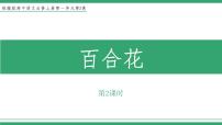 高中语文人教统编版必修 上册3.1 百合花教学课件ppt