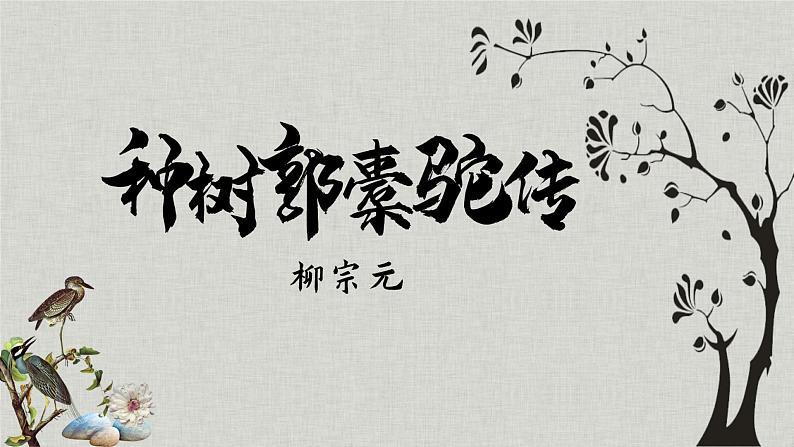 2021-2022学年统编版高中语文选择性必修下册11.《种树郭橐驼传》课件17张第1页