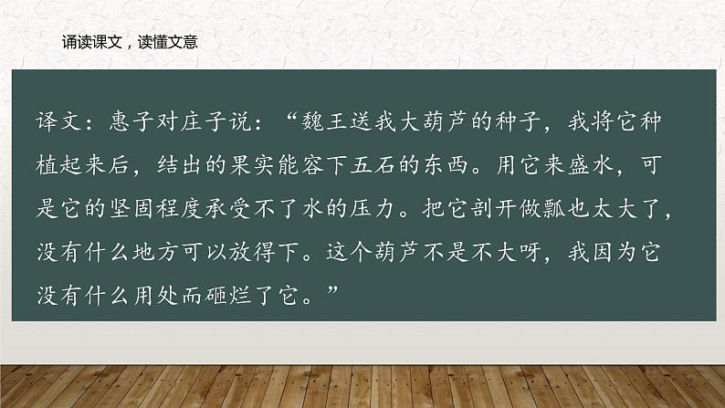 部编版语文选择性必修上册课件03 教学课件_五石之瓠3第7页