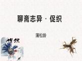 部编版高中语文必修下册 教学课件_促织4