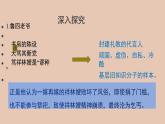 部编版高中语文必修下册 教学课件_祝福（第3课时）2