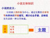 部编版高中语文必修下册 教学课件_祝福4